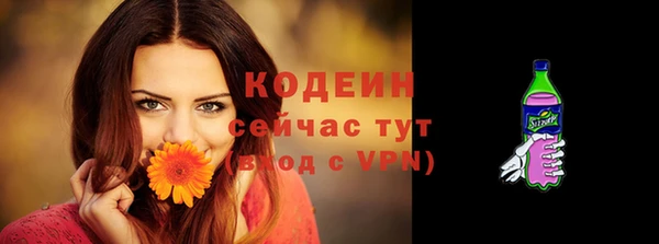 Альфа ПВП Дмитриев