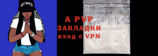 Альфа ПВП Дмитриев
