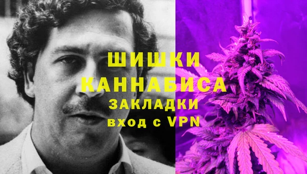 гидропоника Дмитров