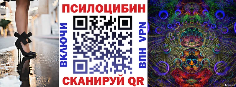 купить наркоту  blacksprut tor  Псилоцибиновые грибы MAGIC MUSHROOMS  Сальск 